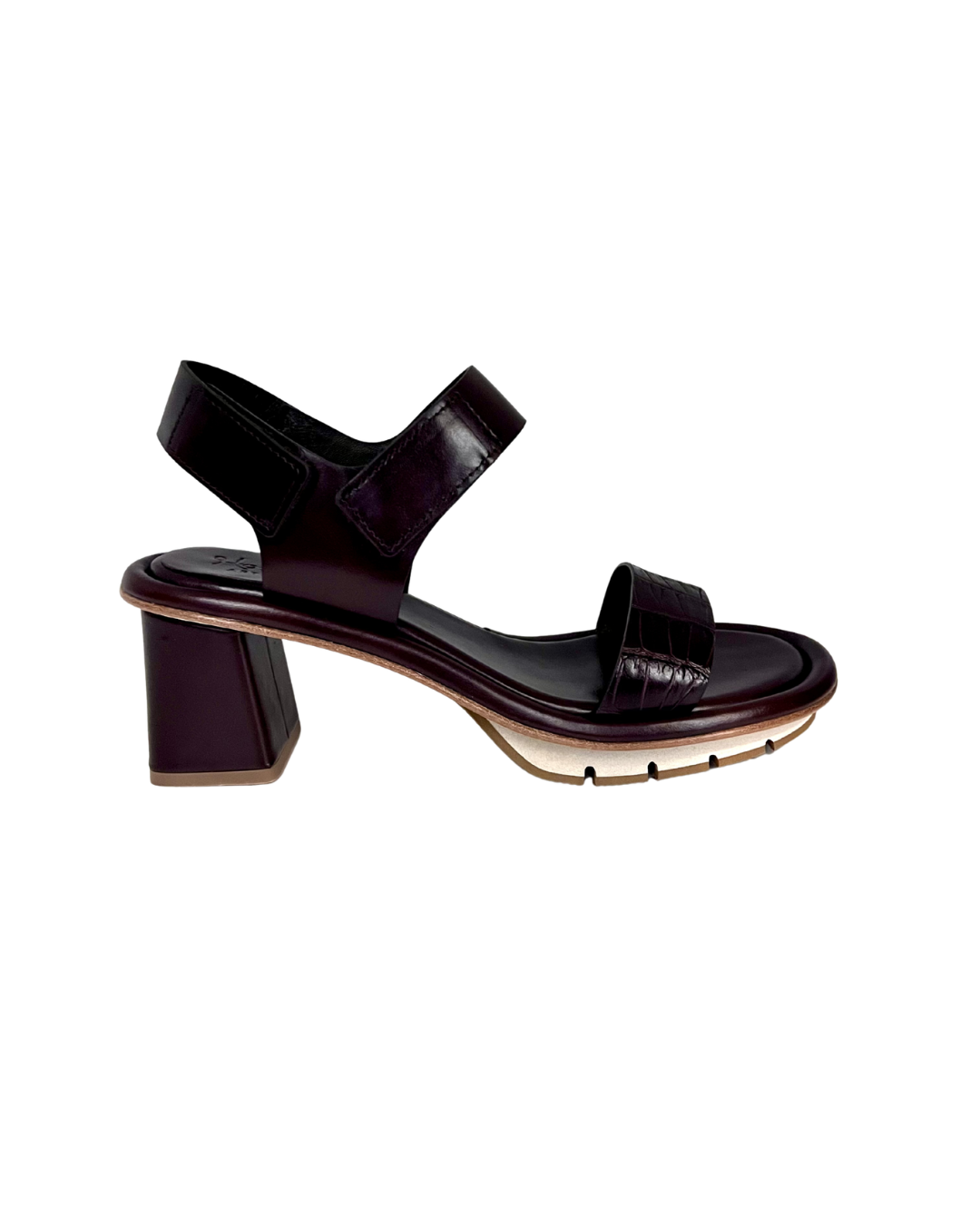 Coco Castegna - Pepe