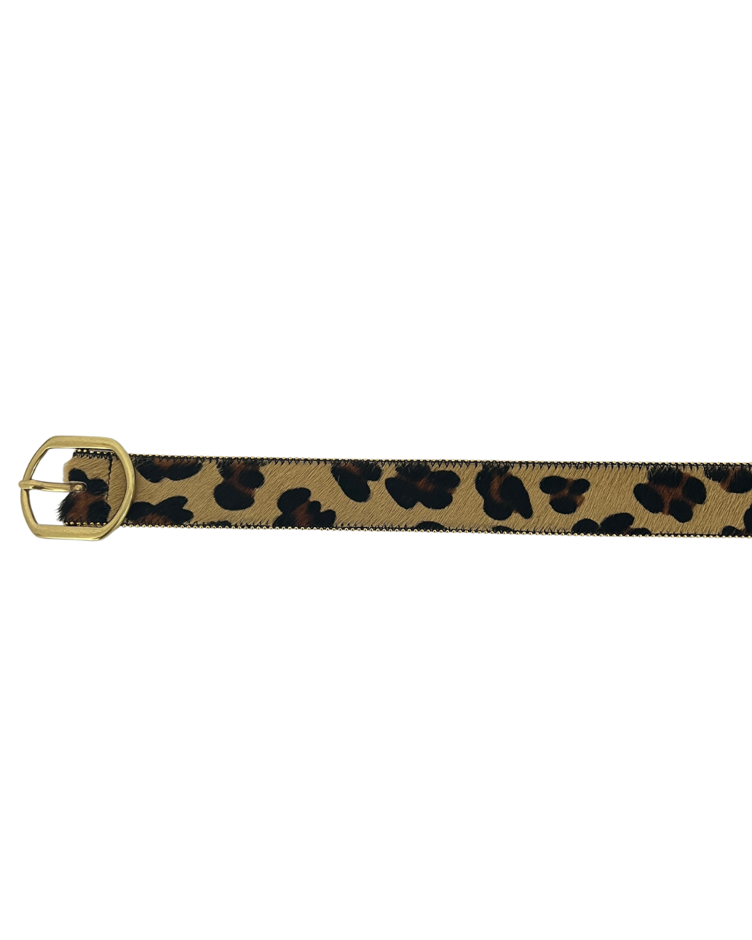 Leopard Suede Belt with Gold Trim