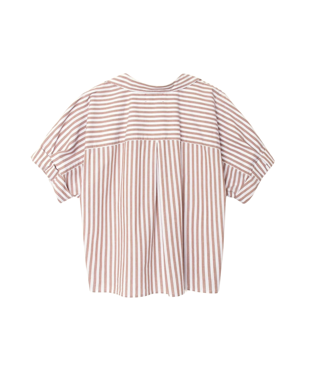 Teddy Shirt